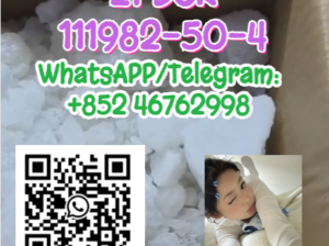 2FDCK,111982-50-4 Spot supply