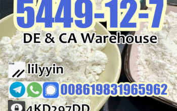 5449-12-7 Germany Stock Factory price BMK Powder