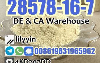 28578-16-7 Germany Stock High Purity PMK Powder