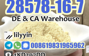 28578-16-7 Germany warehouse pmk powder