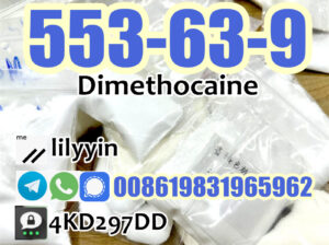 553-63-9 Supply best price Dimethocaine