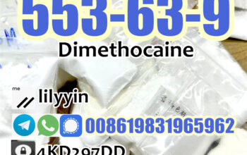 553-63-9 Supply best price Dimethocaine