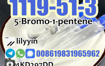 Supply 1119-51-3 5-Bromo-1-pentene