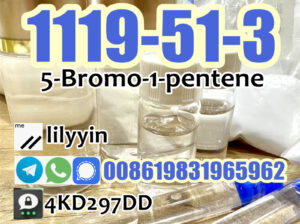 cas 1119-51-3 1-bromo-4-pentene 5-Bromo-1-pentene