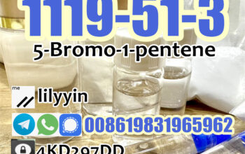 cas 1119-51-3 1-bromo-4-pentene 5-Bromo-1-pentene