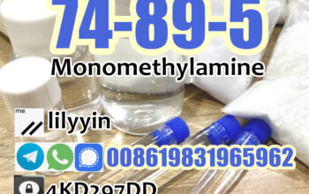 74-89-5 Monomethylamine Methylamine