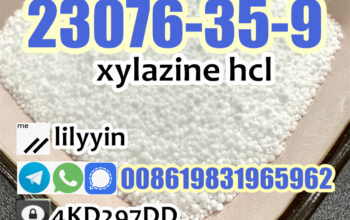 23076-35-9 China Factory xylazine hcl