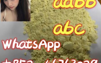 ADBB 5CLADB JWH 4FADB WhatsApp：+852 46763029