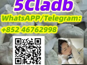 5Cladb Abundant precursors