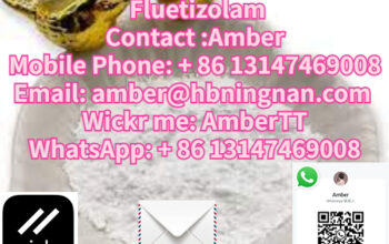 Fluetizolam CAS 40054-88-4