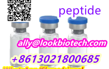 cas 910463-68-2 Semaglutide