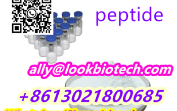 CAS 2023788-19-2 Tirzepatide