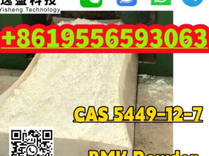 CAS 5449-12-7 BMK Glycidic Acid(sodium salt) 99%