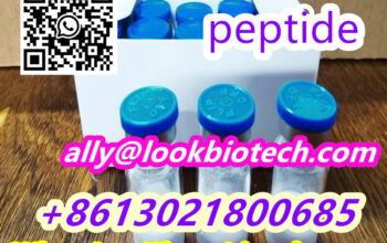 cas 910463-68-2 Semaglutide