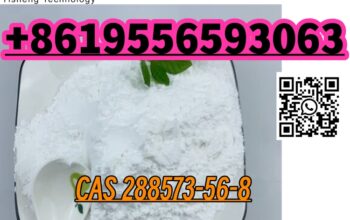High Quality CAS 288573-56-8 for research chemica