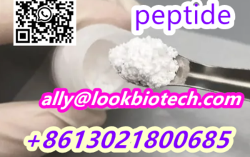 CAS 2023788-19-2 Tirzepatide