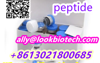 Retatrutide cas 2381089-83-2