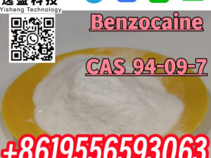 Wholesale High Quality CAS 94-09-7 Benzocaine