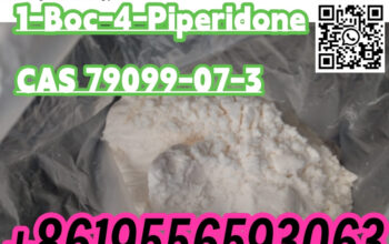 CAS79099-07-3 High quality 99% purity Powder