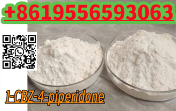 High Purity CAS 19099-93-5 N-CBZ-4-piperidone