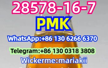 CAS.28578-16-7, PMK ethyl glycidate