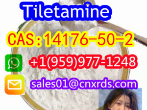 high quality CAS:14176-50-2 Tiletamine