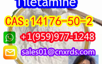 high quality CAS:14176-50-2 Tiletamine
