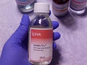 BUY NEMBUTAL ONLINE ,BUY PENTOBARBITAL SODIUM, BUY