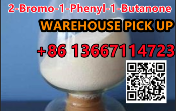 86 13667114723 |CAS 1451-83-8