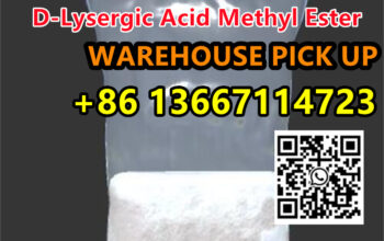 WA:86 13667114723 |D-Lysergic Acid Methyl Ester