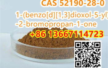 +86 13667114723 cas 52190-28-0
