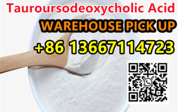 Tauroursodeoxycholic Acid CAS 14605-22-2
