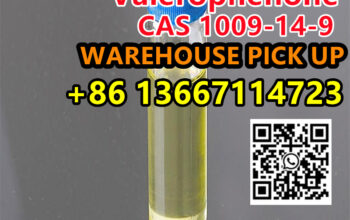 +8613667114723 Valerophenone CAS 1009-14-9