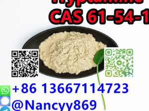 86 13667114723|High quality CAS 61-54-1 Tryptamine
