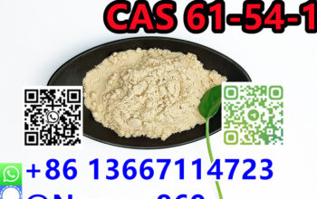 86 13667114723|High quality CAS 61-54-1 Tryptamine