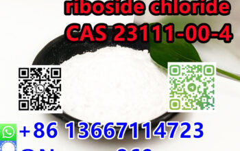 Nicotinamide riboside chloride 23111-00-4