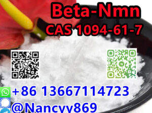 86 13667114723 |CAS 1094-61-7 Beta-Nmn