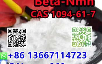 86 13667114723 |CAS 1094-61-7 Beta-Nmn