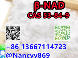 86 13667114723 |CAS 53-84-9 NAD