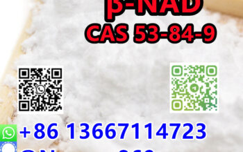 86 13667114723 |CAS 53-84-9 NAD