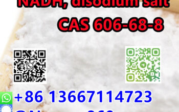 High Quality CAS 606-68-8 NADH | +8613667114723