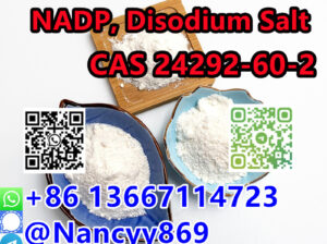 NADP, Disodium Salt|CAS 24292-60-2|+86 13667114723