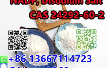 NADP, Disodium Salt|CAS 24292-60-2|+86 13667114723