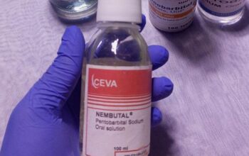 BUY NEMBUTAL ONLINE ,BUY PENTOBARBITAL SODIUM, BUY
