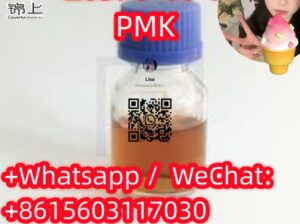CAS28578-16-7PMK ethyl glycidate Hot Selling