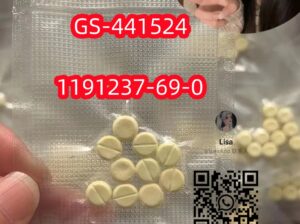 GS-441524 1191237-69-0CASFactory Price