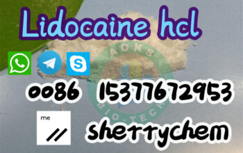 Lidocaine HCL cas 73-78-9