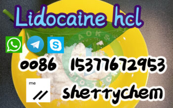 137-58-6 Anesthetic Powders Lidocaine for Pain