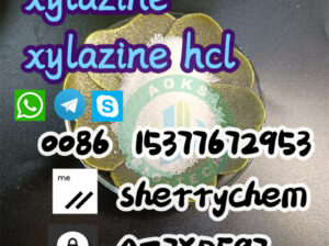 High Quality CAS 7361-61-7 Xylazine