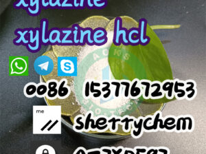 Powder Xylazine 7361-61-7 bmk_